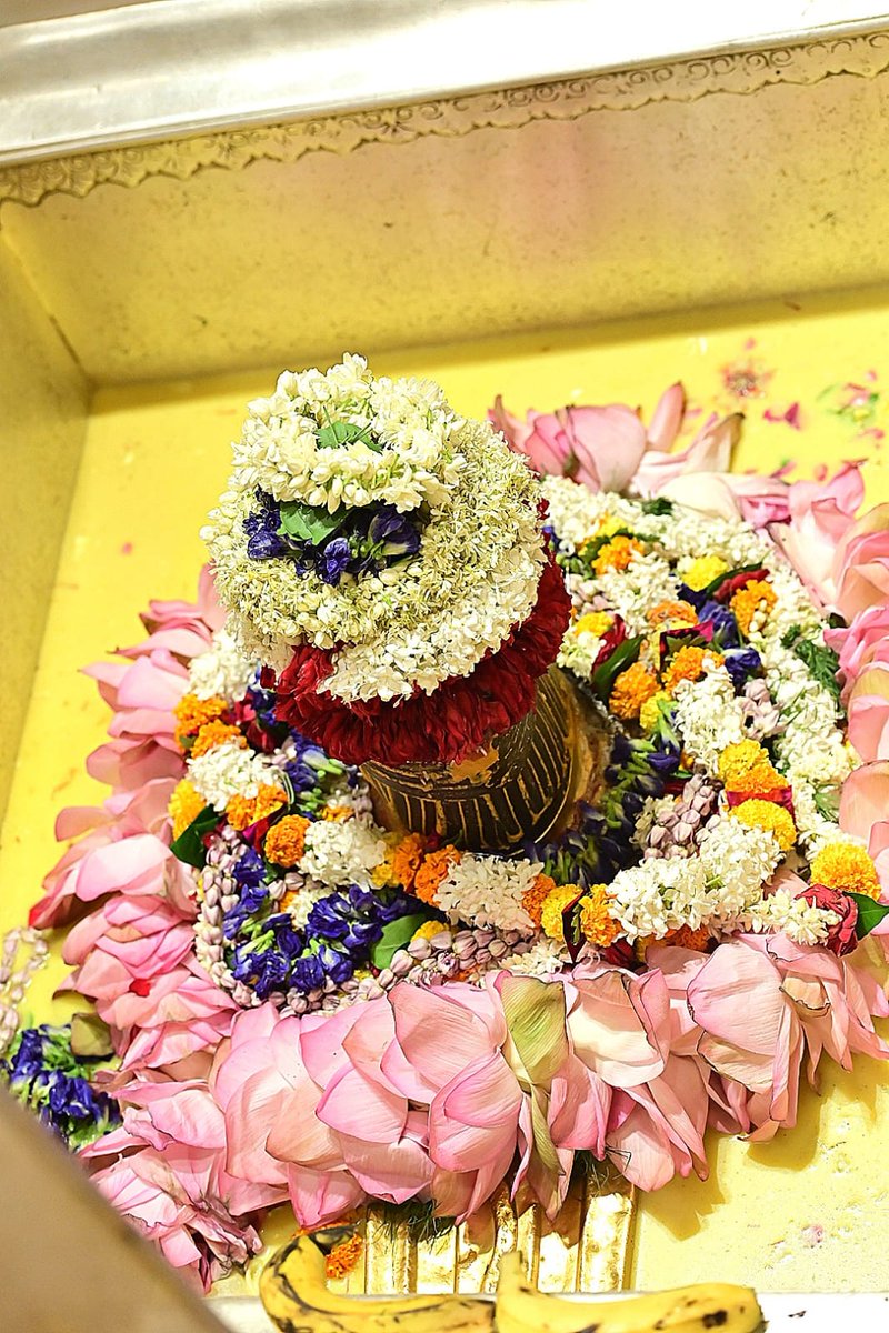 ShriVishwanath's tweet photo. श्री काशी विश्वनाथ जी की सप्तऋषि आरती I
#kashivishwanath #kashi #hindu #sanatandharm https://t.co/FhdI8bQzXm