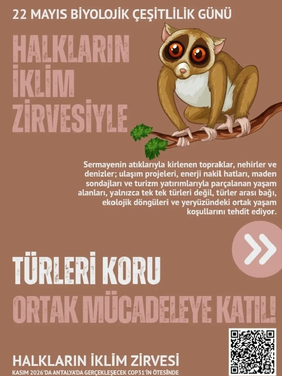 _EGECEP_'s tweet photo. Yeryüzündeki yaşamın sürekliliği, uygun iklim koşullarına, sağlıklı ekosistemlere ve biyoçeşitliliğin korunmasına bağlı.

Değişen iklim, biyoçeşitliliği azaltırken; Milli Parklar Kanununda olduğu gibi korunan alanların statülerinin değiştirilmesi, atıkların yarattığı kirlilik ve ekosistemlerin sermaye yatırımlarına açılması bu yok oluşu hızlandırıyor.

Sermayenin atıklarıyla kirlenen topraklar, nehirler ve denizler; ulaşım projeleri, enerji nakil hatları, maden sondajları ve turizm yatırımlarıyla parçalanan yaşam alanları, yalnızca tek tek türleri değil, türler arası bağı, ekolojik döngüleri ve yeryüzündeki ortak yaşam koşullarını tehdit ediyor.

Biyoçeşitlilik yoksa, yeryüzündeki yaşam ağı da çözülür. İnsan dahil, hiçbir tür, bu ağdan bağımsız var olamaz. Ortak varoluşumuzu koruyalım.

@halklariniklimzirvesi
@egecepsozcu