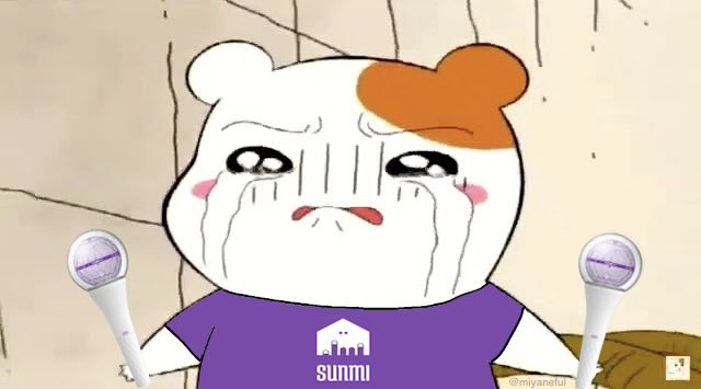 miyaneful's tweet photo. just made some sunmi/wonder girls memes 🥹🤟🏻💜✨ https://t.co/JZqAW8hT9D