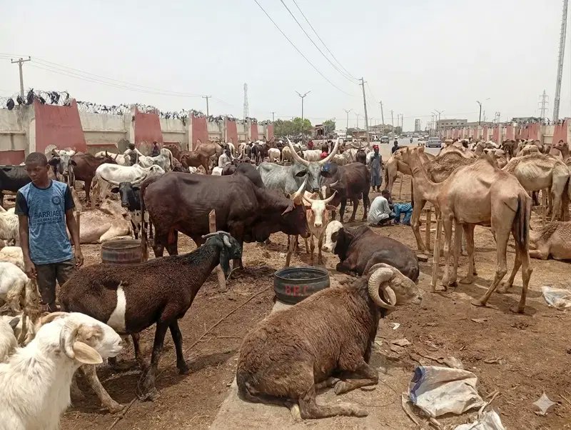 Nigeria Stories tweet media