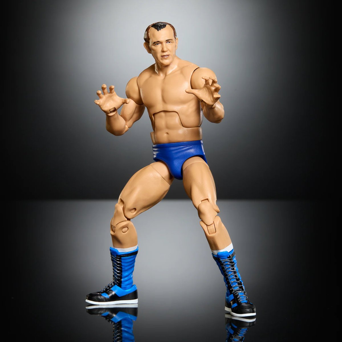 Wrestling Figure Attires tweet media