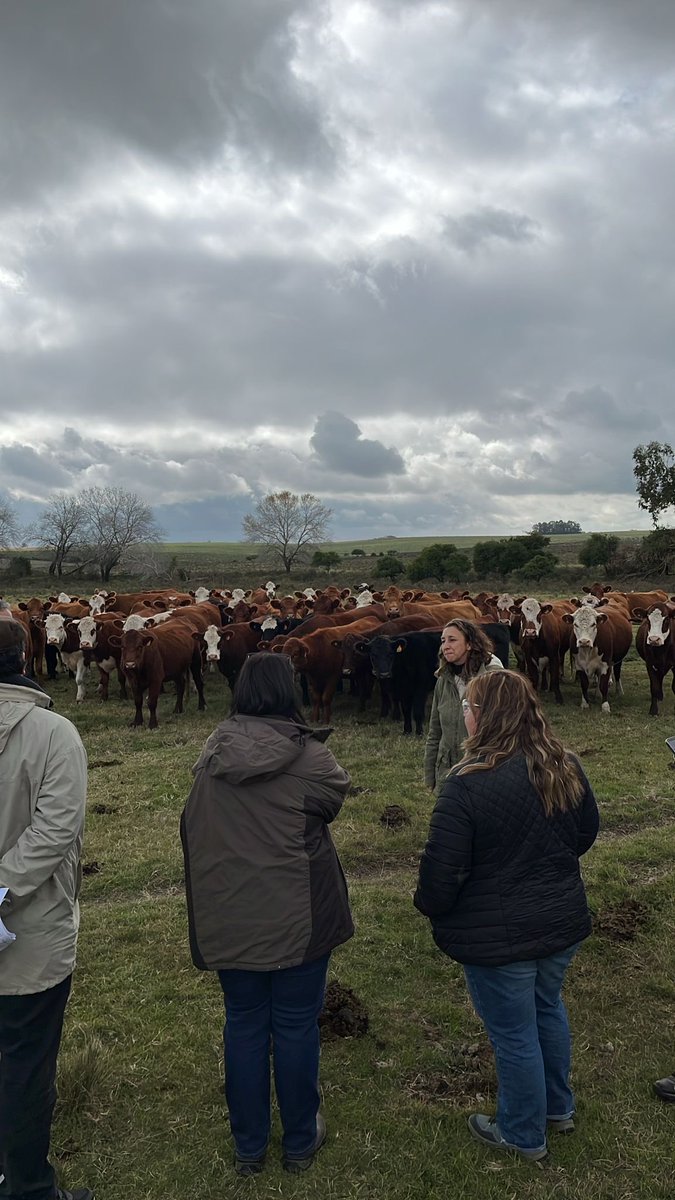 InstitutodeHig1's tweet photo. La Dra. Vet. Florencia y su equipo de trabajo recibieron a los visitantes, compartiendo las líneas de trabajo e investigaciones que se vienen desarrollando. 

Nos acompañaron la Ing. Agr. Andrea Álvarez y su equipo de investigación de la Facultad de Agronomía. https://t.co/U4NCZN0iJJ
