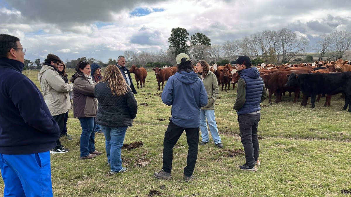 InstitutodeHig1's tweet photo. La Dra. Vet. Florencia y su equipo de trabajo recibieron a los visitantes, compartiendo las líneas de trabajo e investigaciones que se vienen desarrollando. 

Nos acompañaron la Ing. Agr. Andrea Álvarez y su equipo de investigación de la Facultad de Agronomía. https://t.co/U4NCZN0iJJ