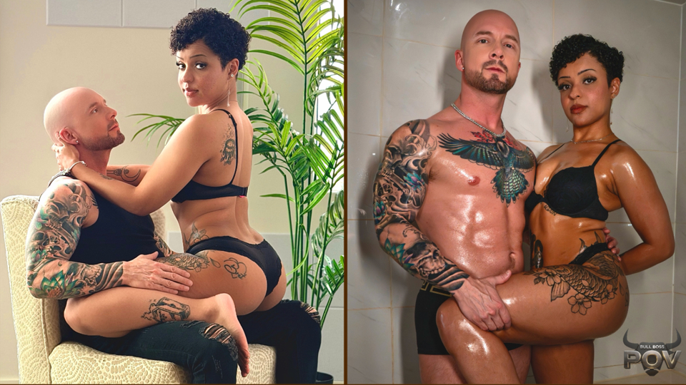 XBIZ tweet media
