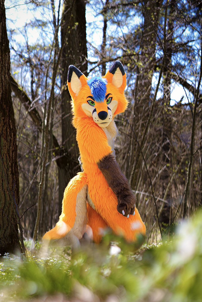 Electrix Fox tweet media