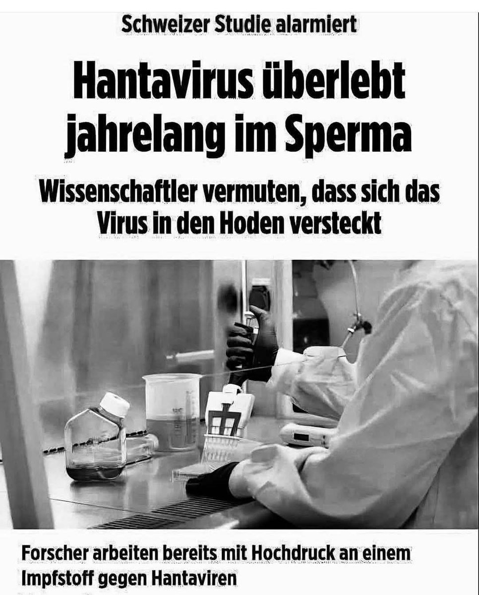 Die blaue Stewardess 2.0 tweet media