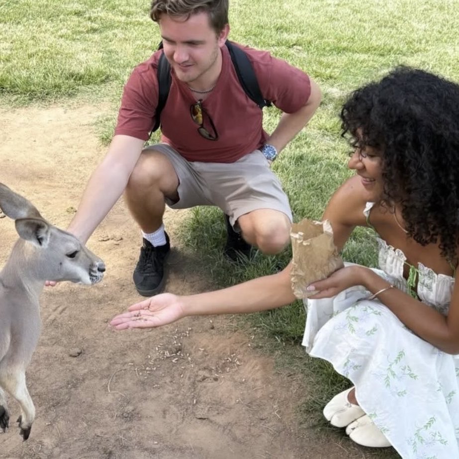 elle tweet media