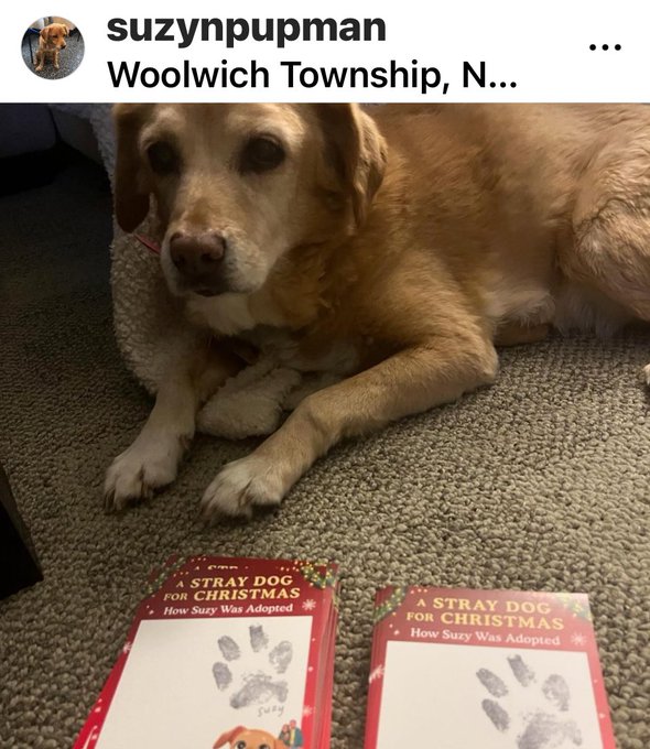 KellyThomasLit's tweet photo. It is with a heavy heart that I share that my sweetest, cutest, fluffiest client has crossed the rainbow bridge. Suzy's legacy will live well beyond her mortal years. She touched so many hearts &amp; inspired countless adoptions. Rest in peace, sweet girl. 😢https://t.co/xgtxMm0Oo1 https://t.co/SwrwTWkcT9