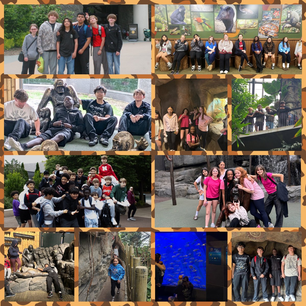 Millard Central MS tweet media