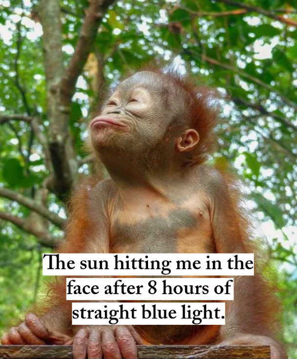 davismktg's tweet photo. When you finally close the laptop and step outside for the first time all day 😂☀️#DavisMarketingAndConsulting #BusinessMarketing #MarketingStrategy #GrowthMindset #LawtonOK #OklahomaBusiness #BrandGrowth #WorkWithUs https://t.co/UK70fwmyZn