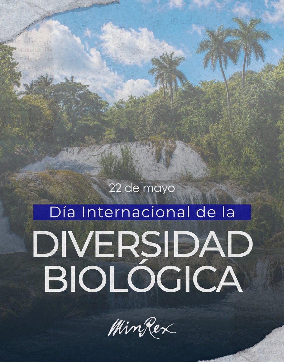 Cancillería de Cuba tweet media
