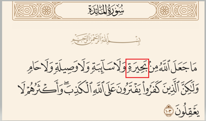 علي م. الجنابي tweet media