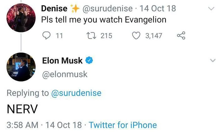 noëlle tweet media