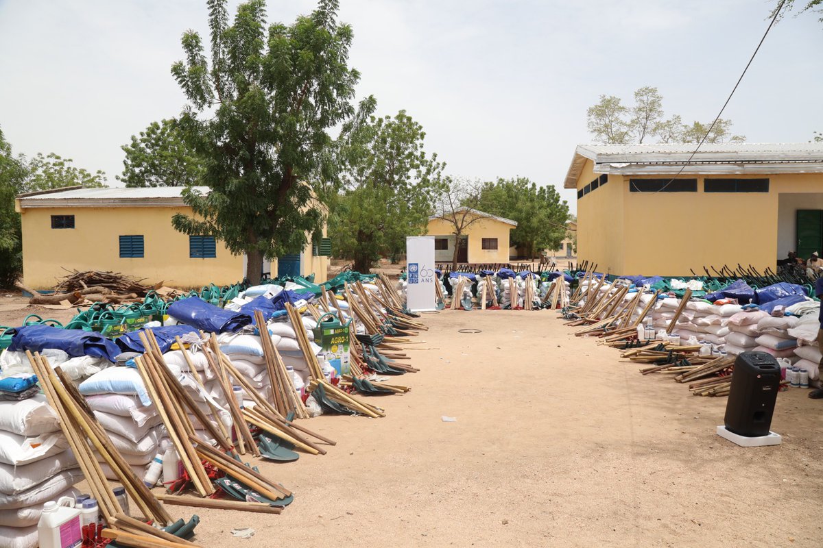 PNUDCameroun's tweet photo. Dans le cadre de la #stabilisation du Bassin du Lac Tchad, le @PNUDCameroun , avec l’appui de ses partenaires financiers, a distribué à Mozogo et Mokolo région de l'EN🇨🇲.
Des kits agricoles (semences améliorées de sorgho, maïs et niébé, tomate, oignon, engrais, produits phytosanitaires, ainsi que des équipements tels que pulvérisateurs, brouettes et arrosoirs...) à 70 organisations de producteurs (700 bénéficiaires), renforçant durablement la résilience économique et la sécurité alimentaire des communautés.
#StabilisationinAction