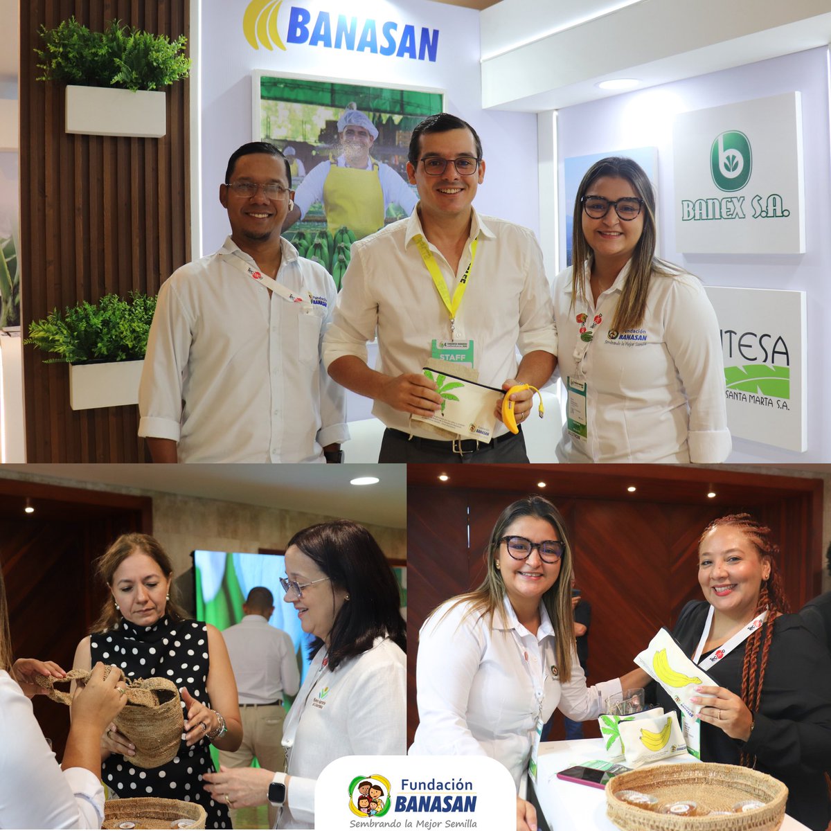 FundaBanasan's tweet photo. 🍌💙 Así cerramos nuestra participación en el IV Congreso Bananero Colombiano 2026, compartiendo la labor de la Fundación Banasan y nuestras iniciativas por el bienestar y desarrollo de las comunidades bananeras. 🌱✨
¡Gracias a todos los que visitaron nuestro stand! https://t.co/9obCGdteuc
