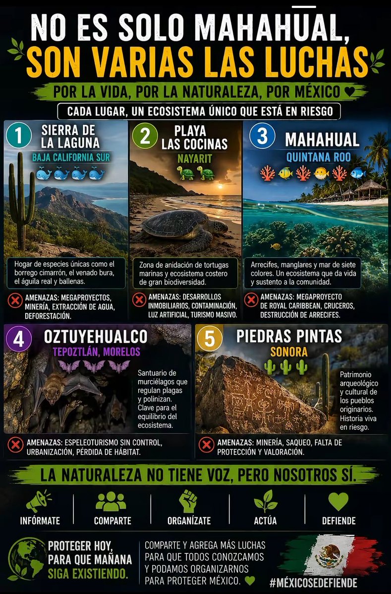 FareliaParez's tweet photo. @SEMARNAT_mx Celebrando el día de la diversidad biológica mientras dejan que esa misma diversidad muera para llenarse los bolsillos. Su puta madre. https://t.co/Z6PUvhCjYu