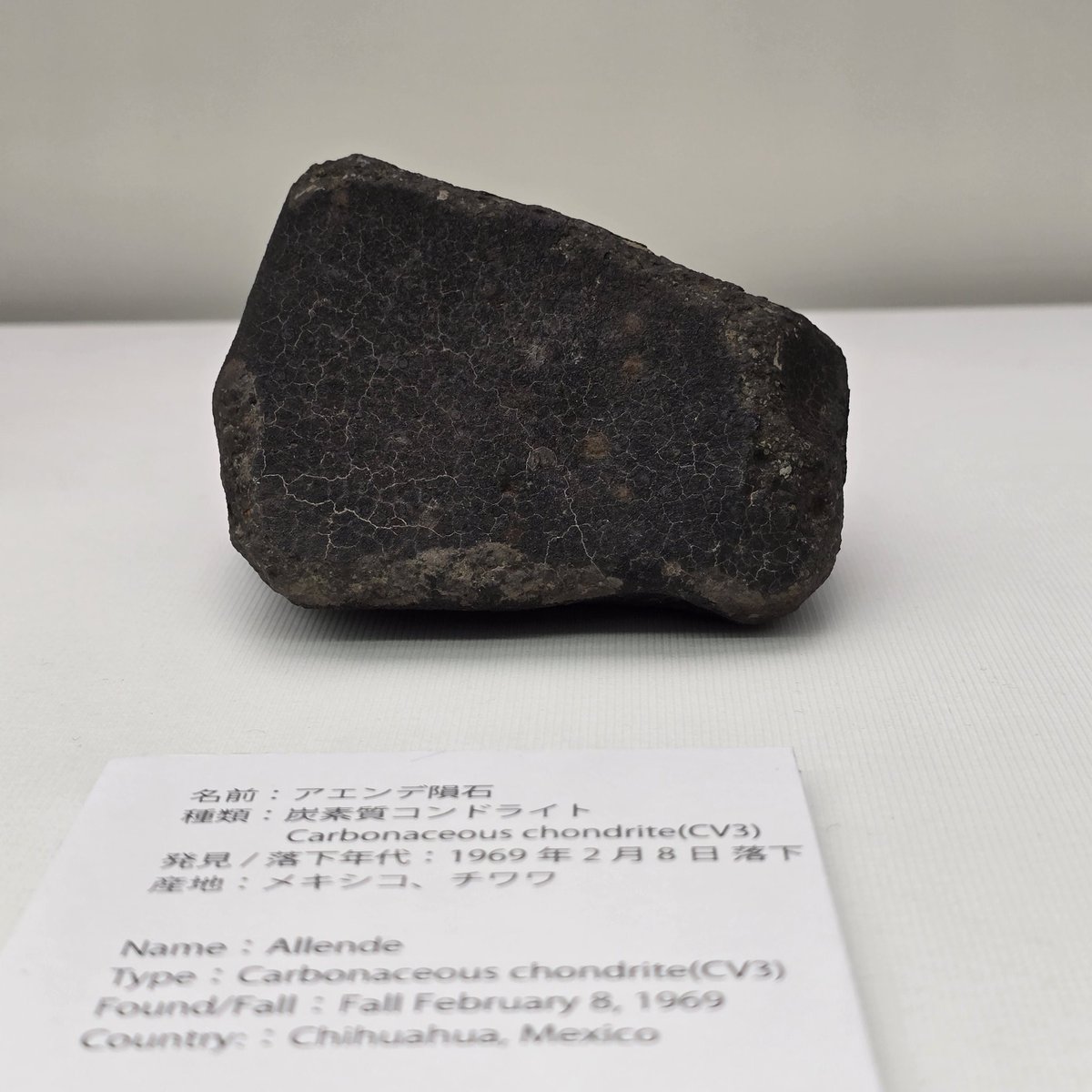 ⭐希少！ アエンデ隕石 標本⭐ 東京国際ミネラルフェア」開催中！特別展に大きなアエンデ隕石あります