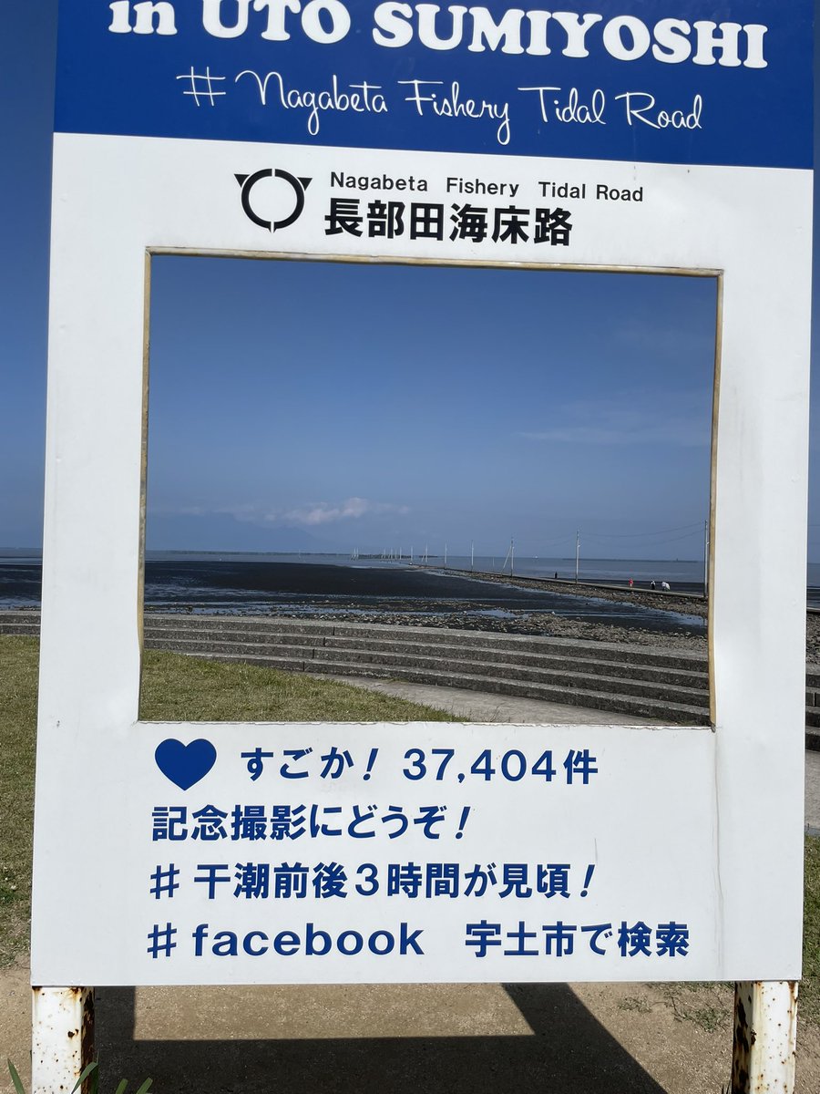 クルラ🌱🐈 tweet media
