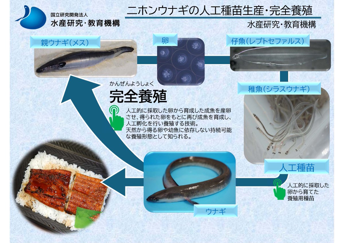 高市早苗 tweet media