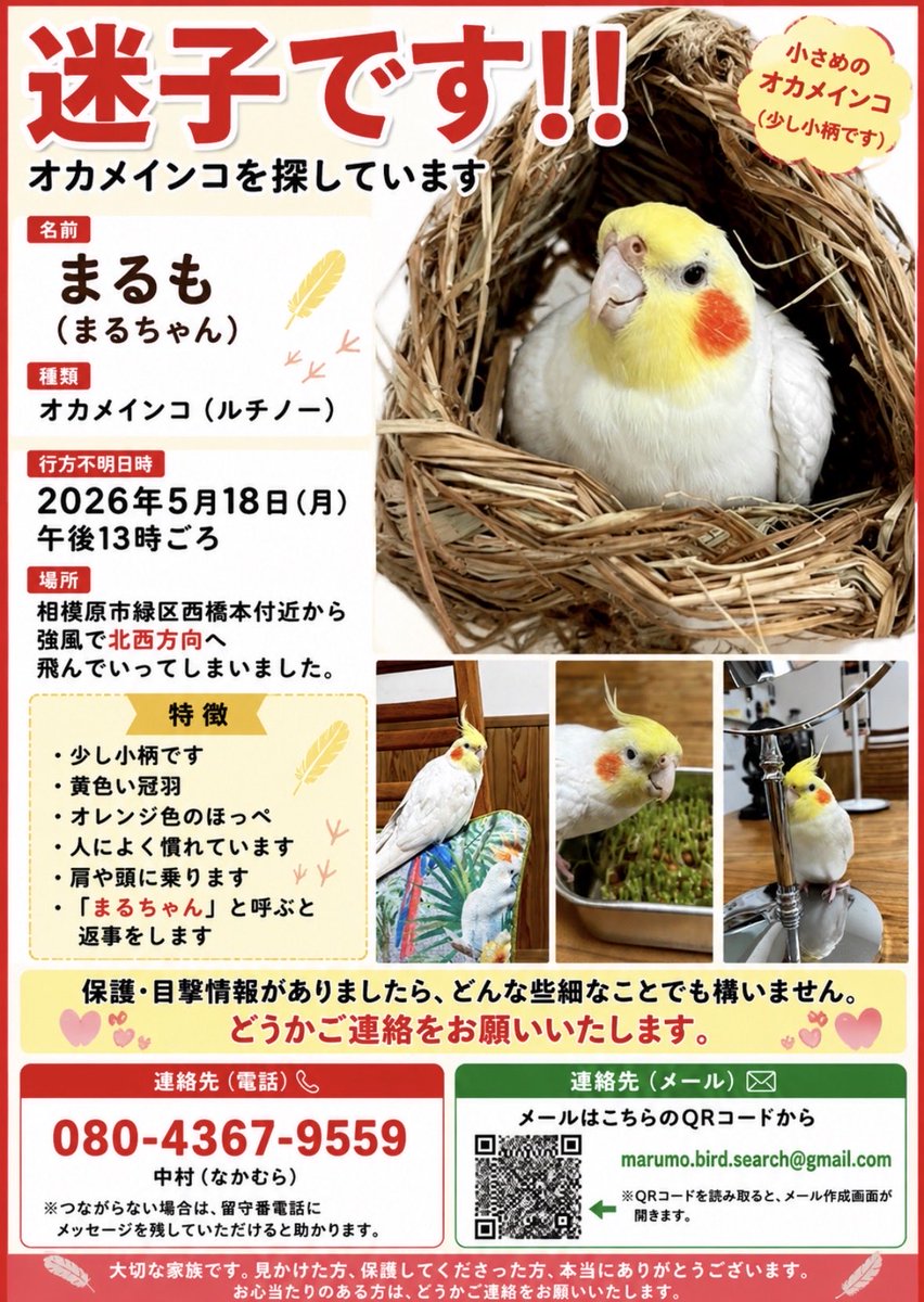 haruko tweet media