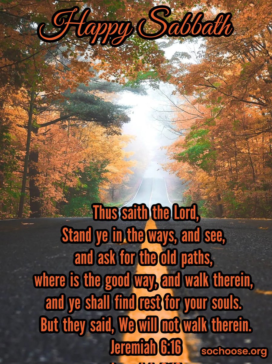 GraceAndMercy_7's tweet photo. Thus saith the Lord, Stand ye in the ways, and see, and ask for the old paths, where is the good way, and walk therein, and ye shall find rest for your souls. But they said, We will not walk therein.
Jeremiah 6:16
https://t.co/O5b7vkjhwy https://t.co/MnMcWDG8f4