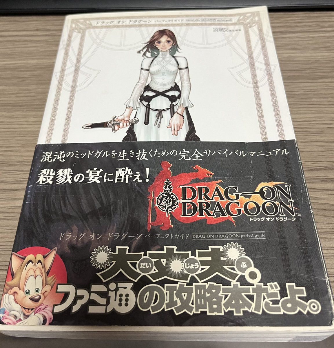 ドラッグオンドラグーンの攻略本。これは初めて入手。遊んだのも割と