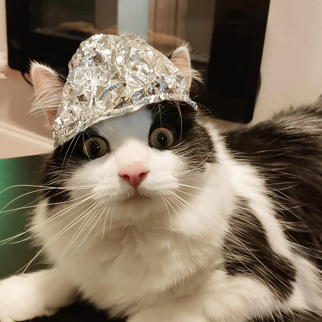 ℭ𝔯𝔦𝔪𝔢 ℭ𝔬𝔫𝔱𝔞𝔦𝔫𝔢𝔯 tweet media