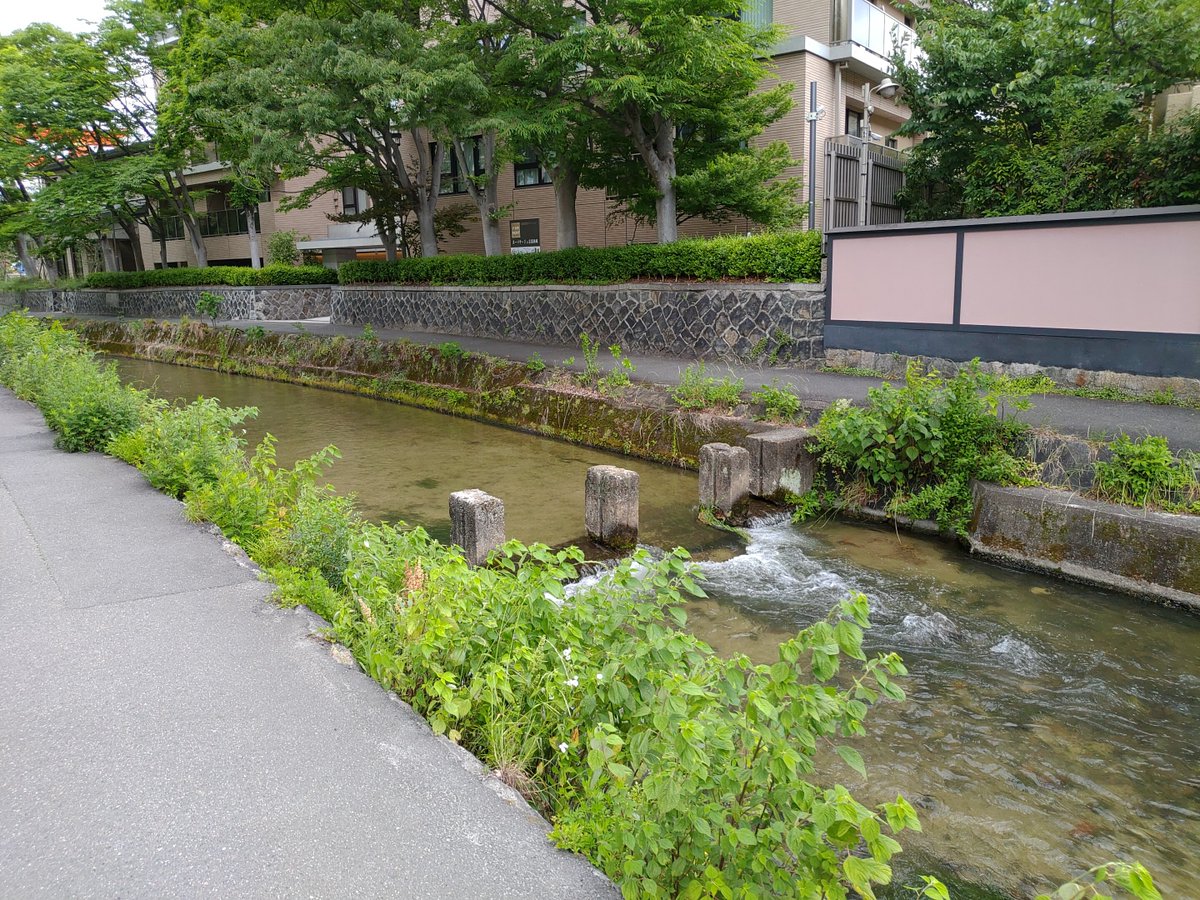 haigyo's tweet photo. いつもの https://t.co/FnsyX8T9iT