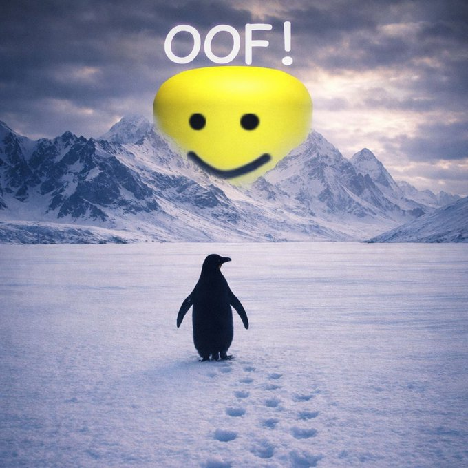 OOF tweet media