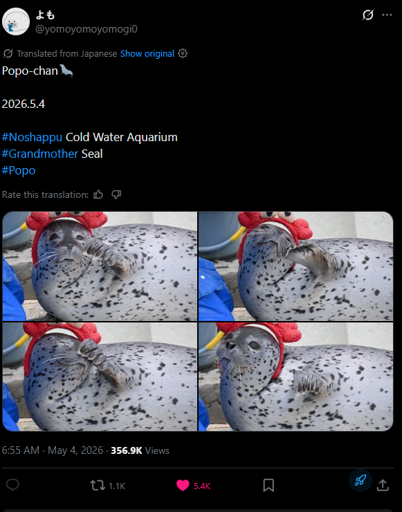 Dimitrixdev's tweet photo. I found a giga... Popo-chan (ポポちゃん) is a young sea lion going giga viral in Japan, and we have never tokenized it before. This post alone is gaining 100's of likes per minute. Another post below as well, they dress her up and do funny posts with her

https://t.co/vC6PGX0EVw https://t.co/b8C6yhDSMq