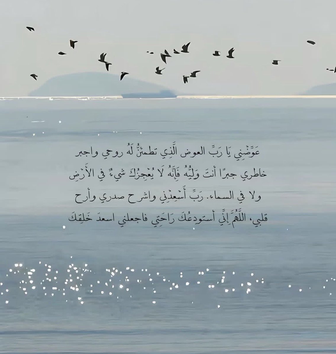 ذِكر tweet media