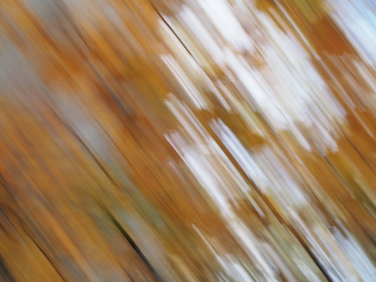 barrysevern's tweet photo. Abstracts @art @abstractart https://t.co/bykHVyvEU0