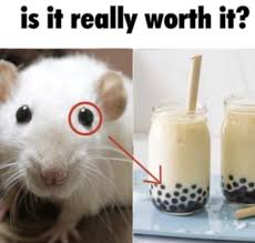 1mousepower's tweet photo. @Dr_JohnShen @DrFrankLangdon_ Yeah :( https://t.co/6ICai4kvW0