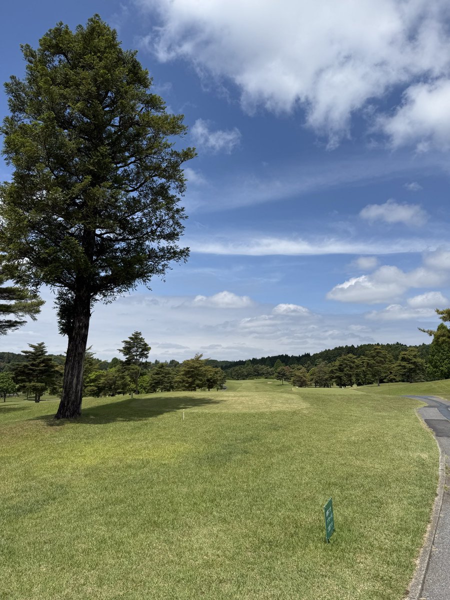 nyanta_bay's tweet photo. 今日は最高🏌️‍♂️ https://t.co/yVmpImFv84