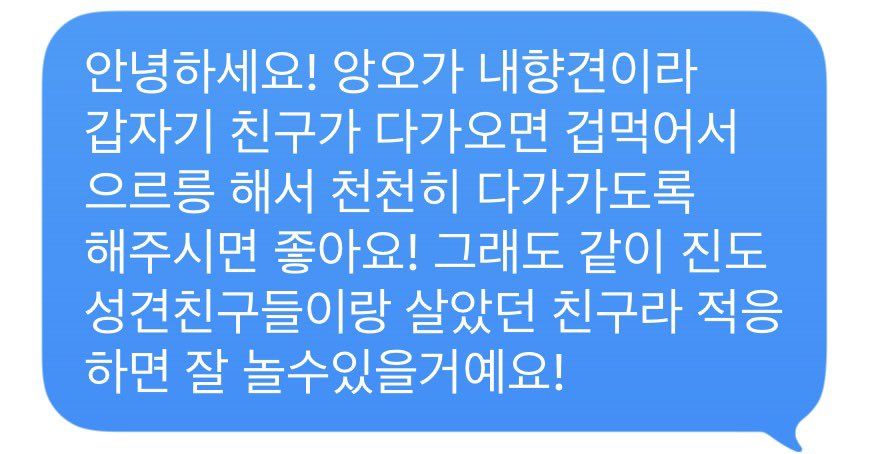 수쑤 tweet media