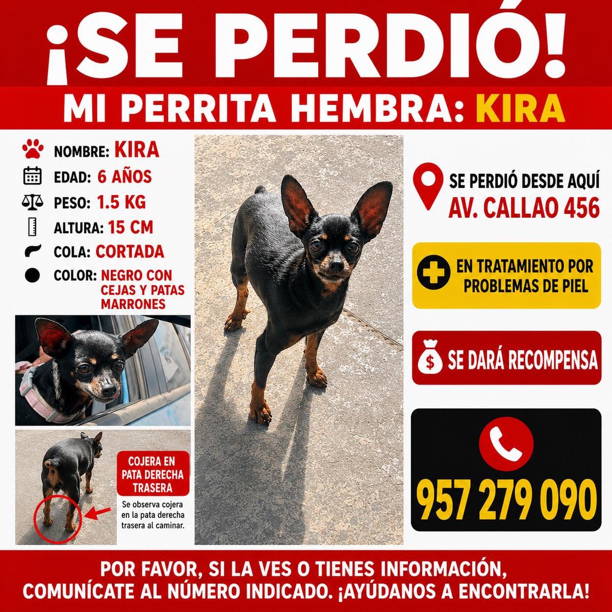 Callao Noticias tweet media