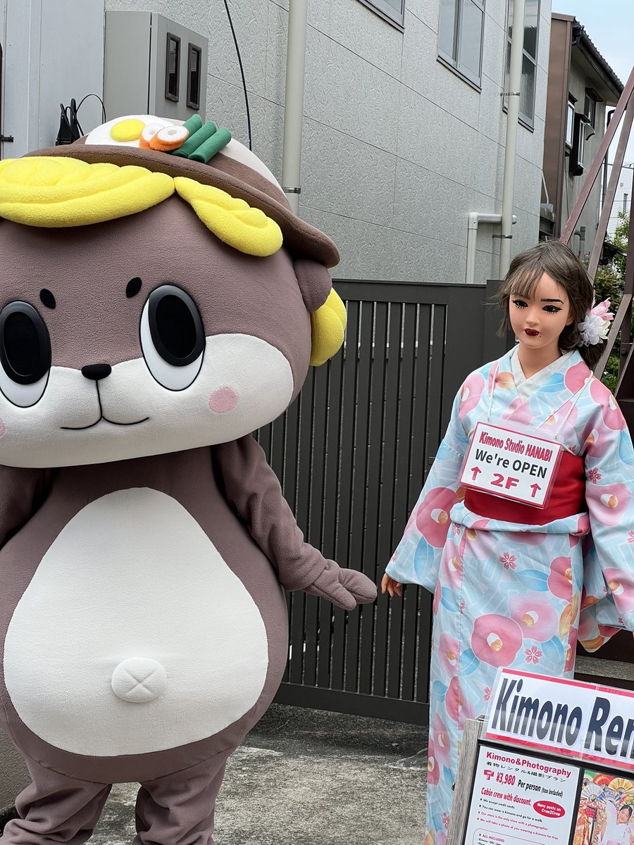 meg🐱ÒㅅÓ。)ノにほんめぐうそ🌎 tweet media