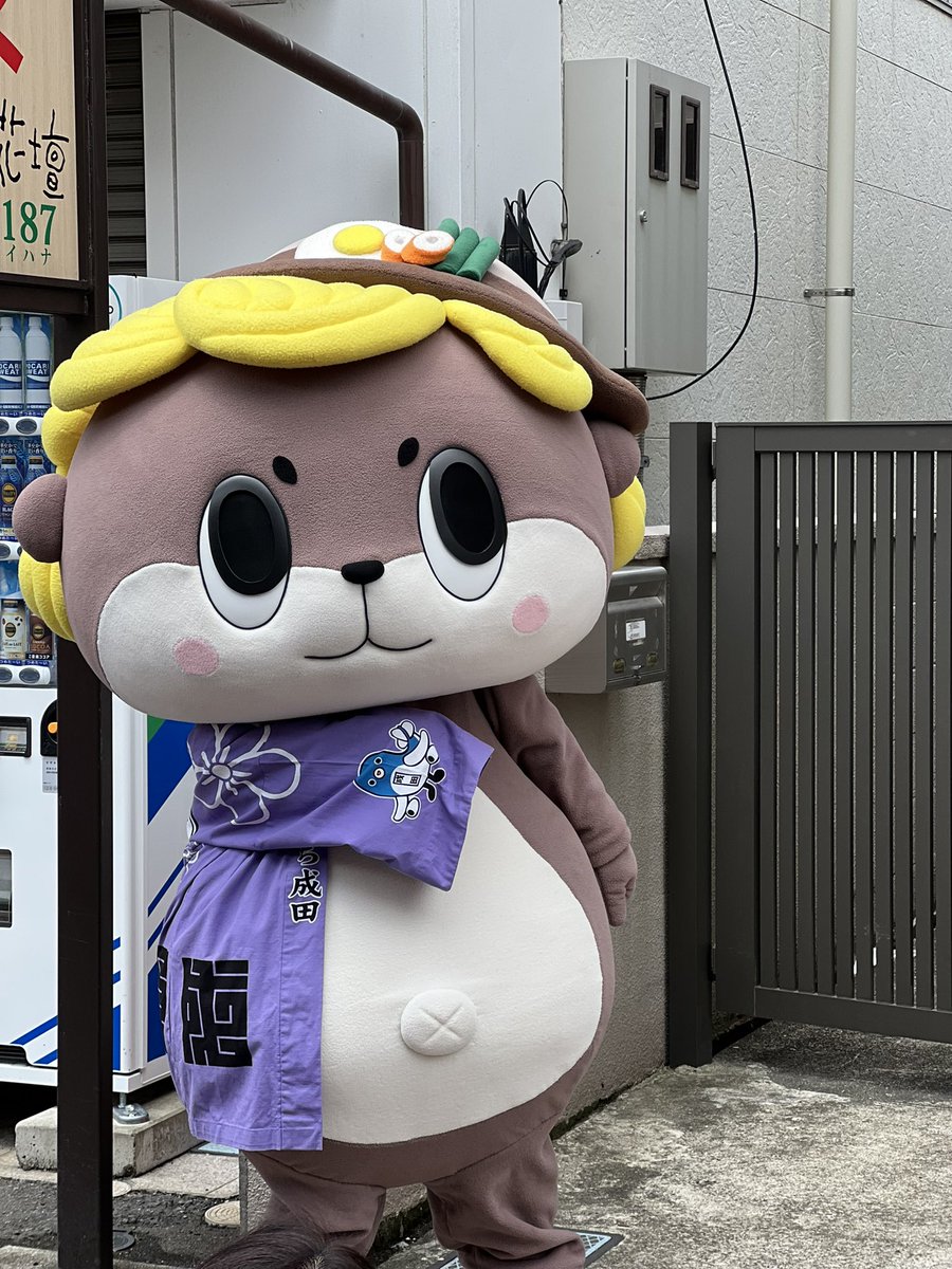 meg🐱ÒㅅÓ。)ノにほんめぐうそ🌎 tweet media