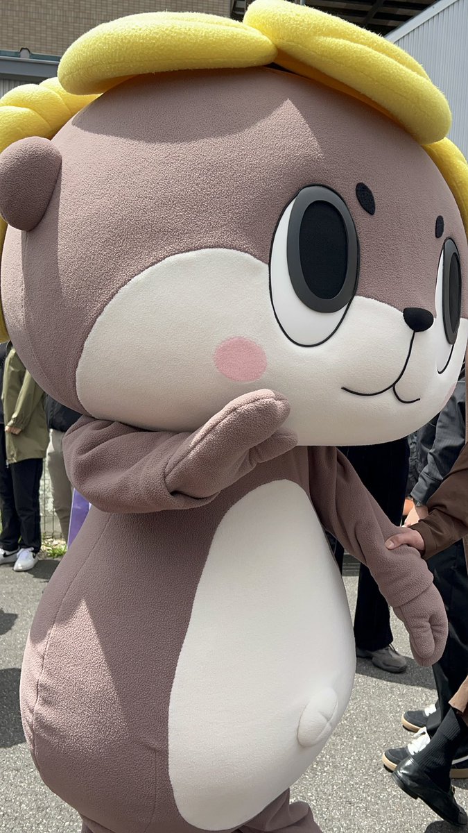 meg🐱ÒㅅÓ。)ノにほんめぐうそ🌎 tweet media