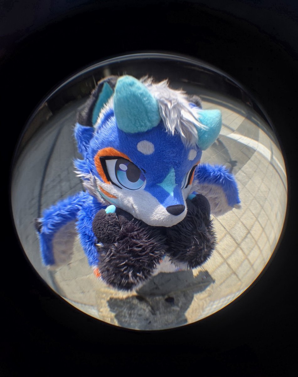 fursuit_Eru's tweet photo. #FursuitEveryday 

같이 놀러가자! https://t.co/bnOIL4NEW1