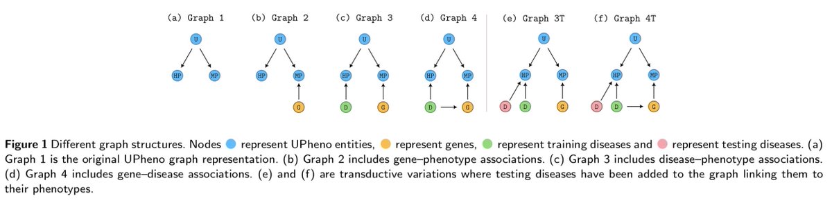 razoralign's tweet photo. INDIGENA: inductive prediction of disease–gene associations using phenotype ontologies https://t.co/8aM5VyvuDC https://t.co/lGCzOjPIVo