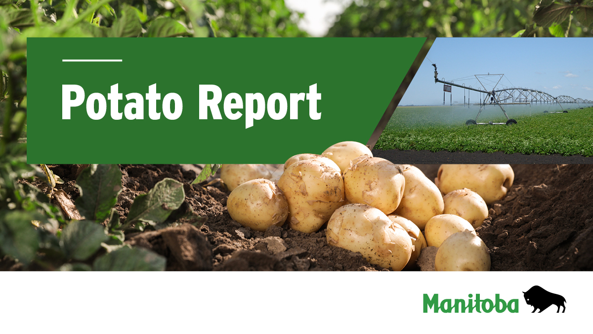 Manitoba Agriculture tweet media