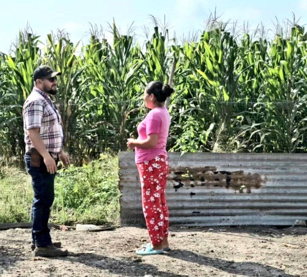 Agricultura_CZ4's tweet photo. #Manabí | Como Gobierno Nacional, priorizamos el trabajo en territorio hombro a hombro junto al productor, brindamos asistencias técnicas en los diferentes cultivos a nivel de fincas en  comunidades rurales de varios cantones de la provincia de #Manabi.
#ElNuevoEcuador 🇪🇨🇪🇨 https://t.co/FWmbUR26Cs