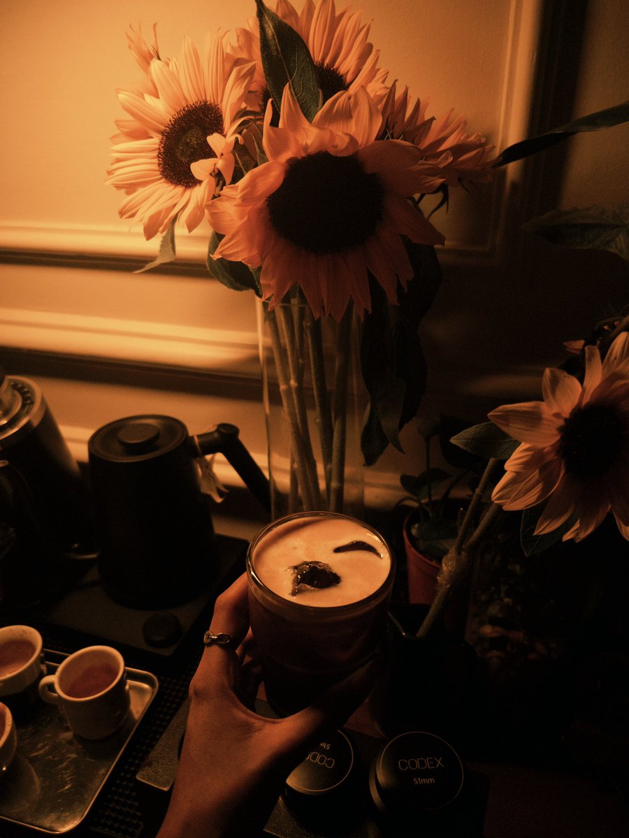 Rail13_'s tweet photo. 🌻💫 https://t.co/9eG5UvFJoy
