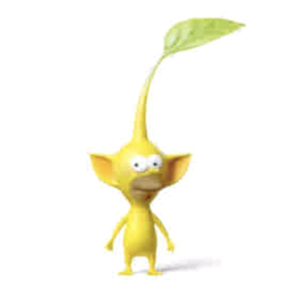 יובל yuval tweet media