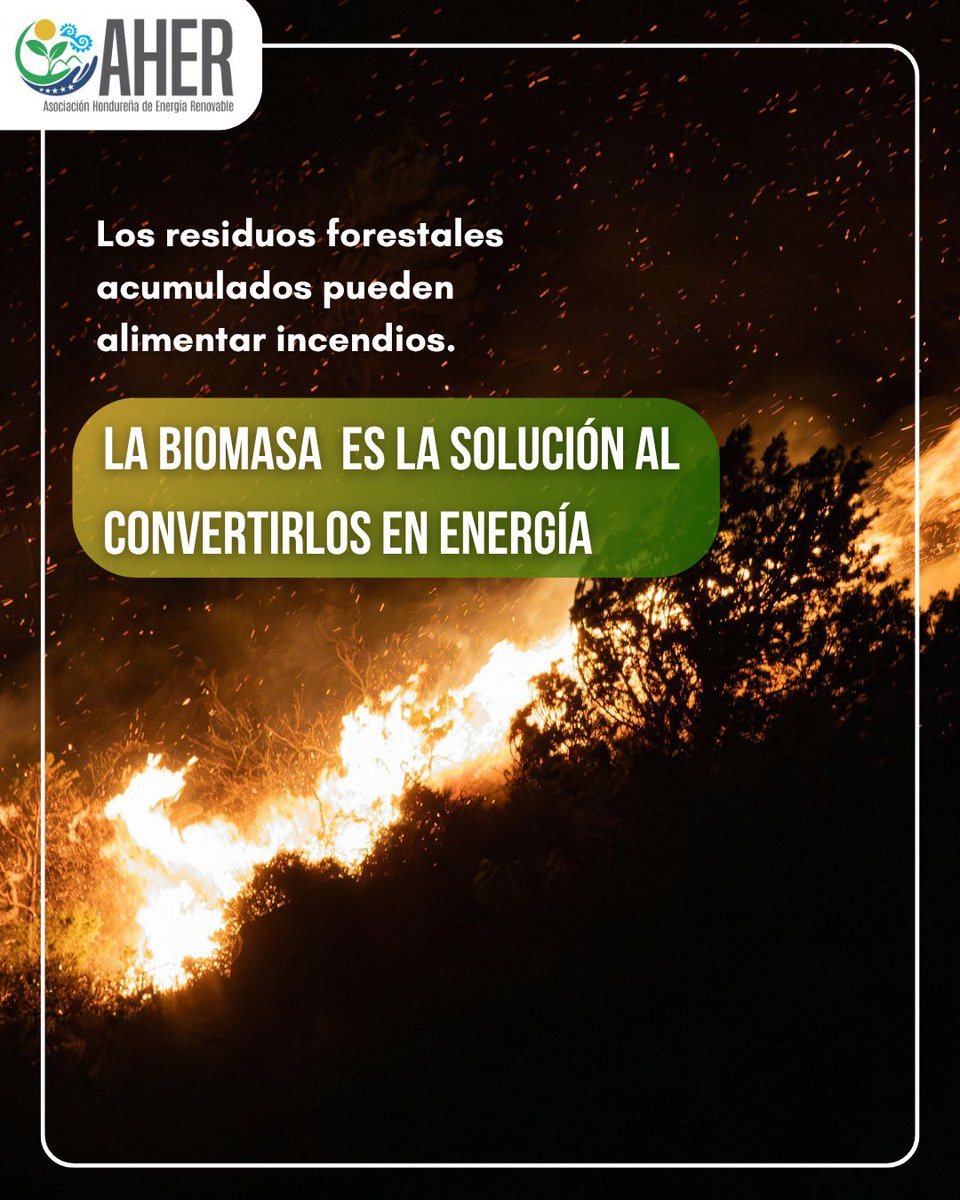 AHERenovable's tweet photo. 🔥 Según el ICF, los incendios forestales ya han arrasado con 44 mil hectáreas de bosque en Honduras durante 2026.
La biomasa puede ser parte de la solución: aprovechar hoja de pino y residuos forestales para generar energía, crear empleo y reducir material combustible. https://t.co/UYcVqXimef