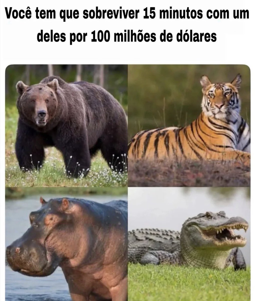 O Estagiário tweet media