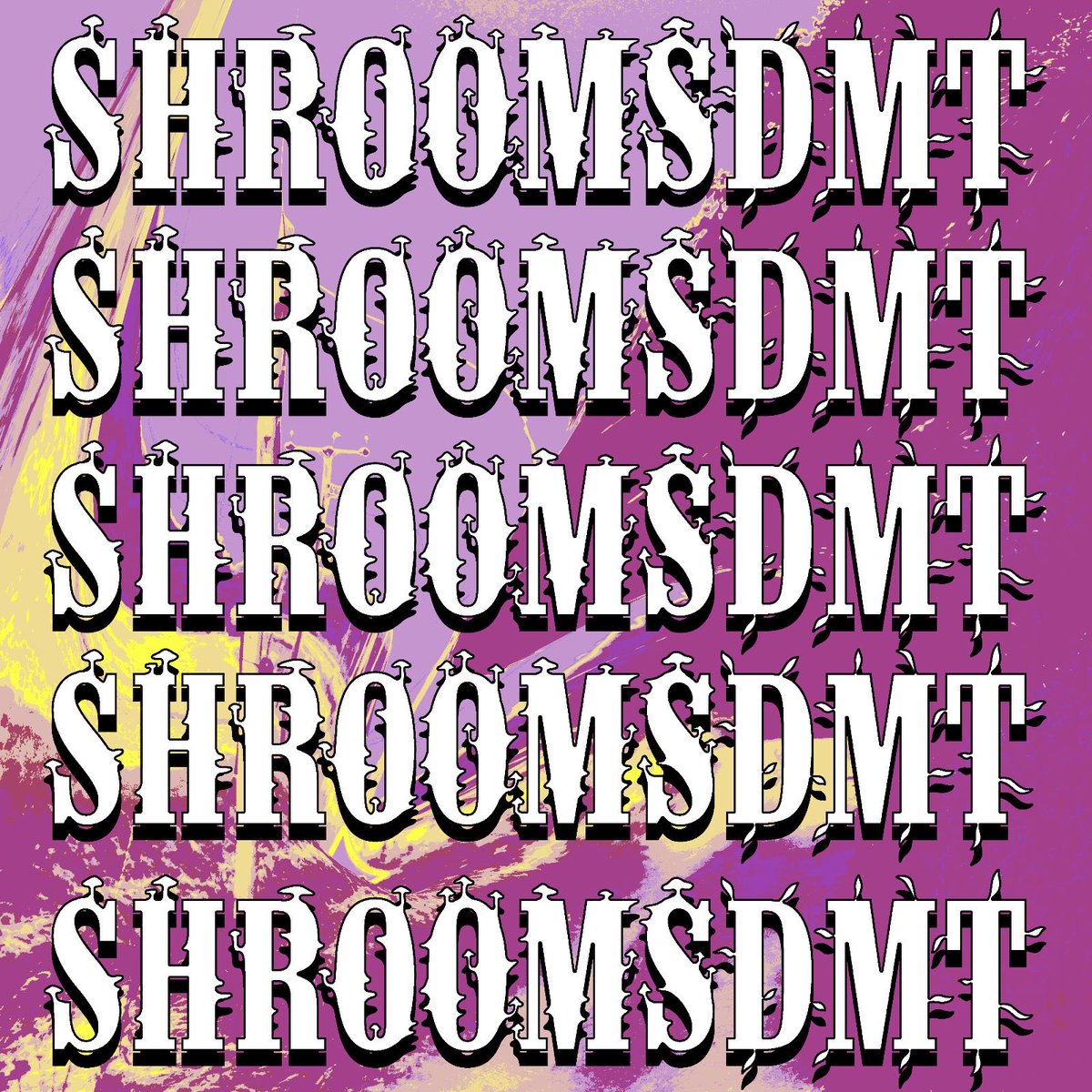 The_QuietClub's tweet photo. SHROOMSDMT 🍄✨ https://t.co/nrBpDQcffv