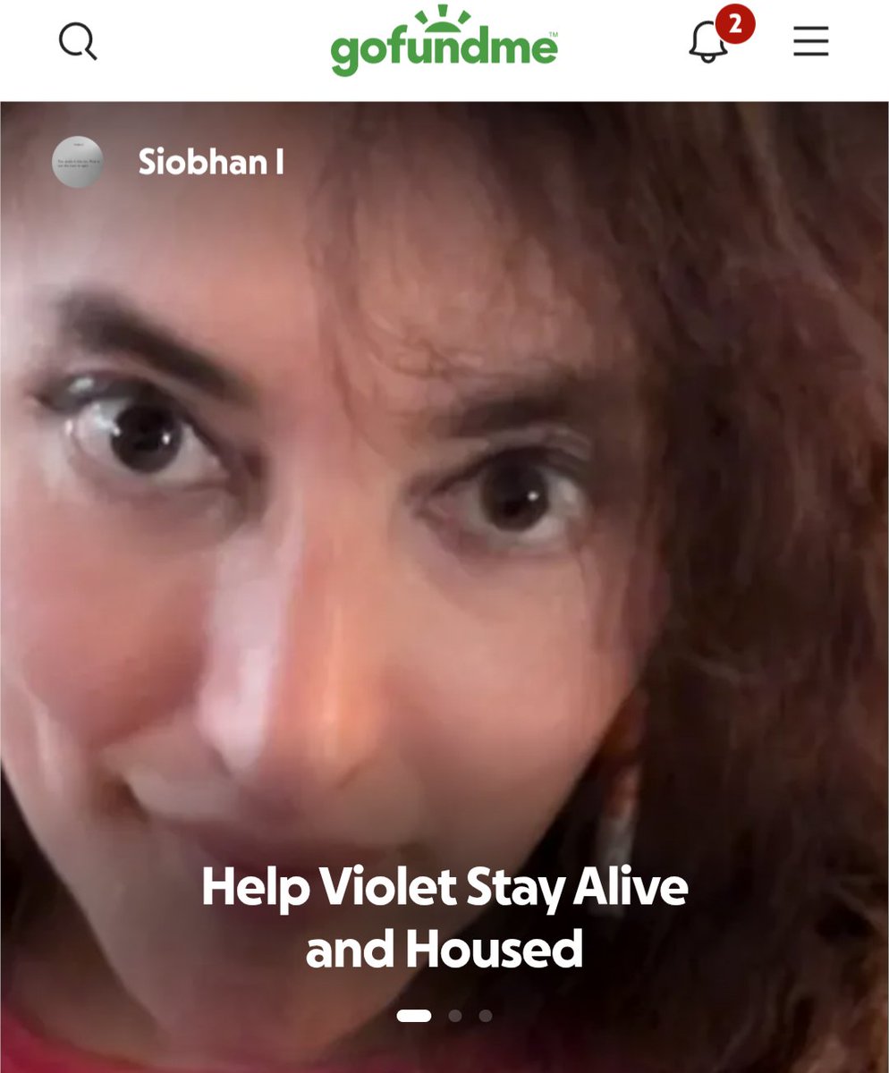 💙violet valentine💙 stray dog petter tweet media