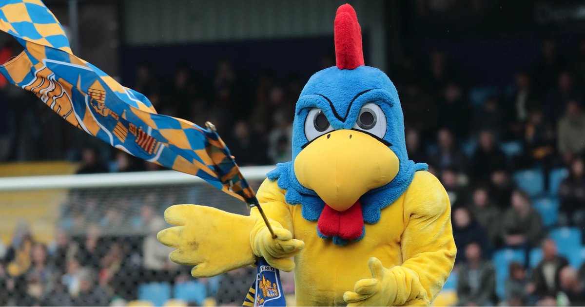 KVC Westerlo tweet media